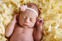 Taylor Newborns