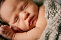 New Little Melody and Family